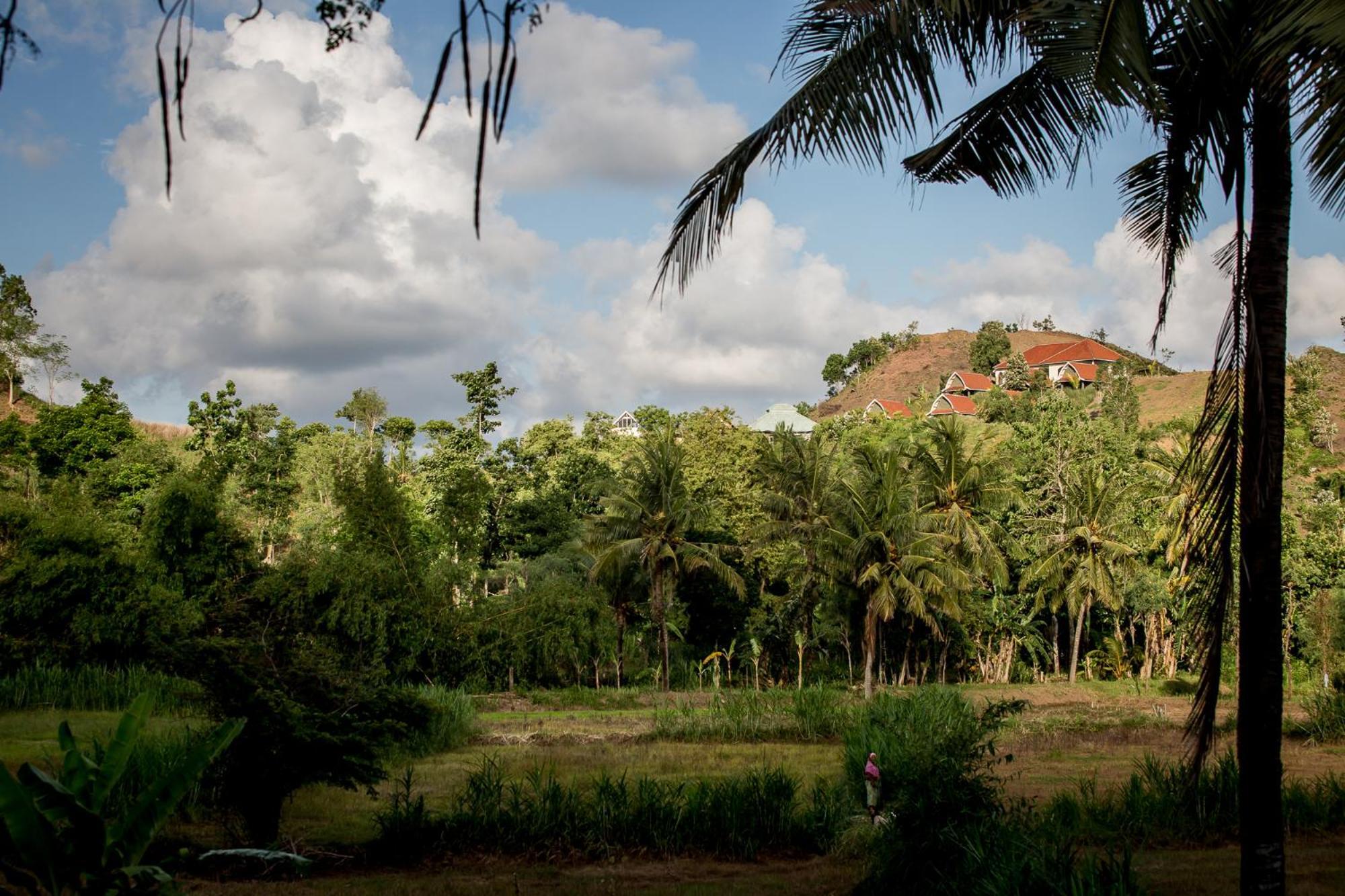 Drop In Surf Lodge Kuta  Екстер'єр фото