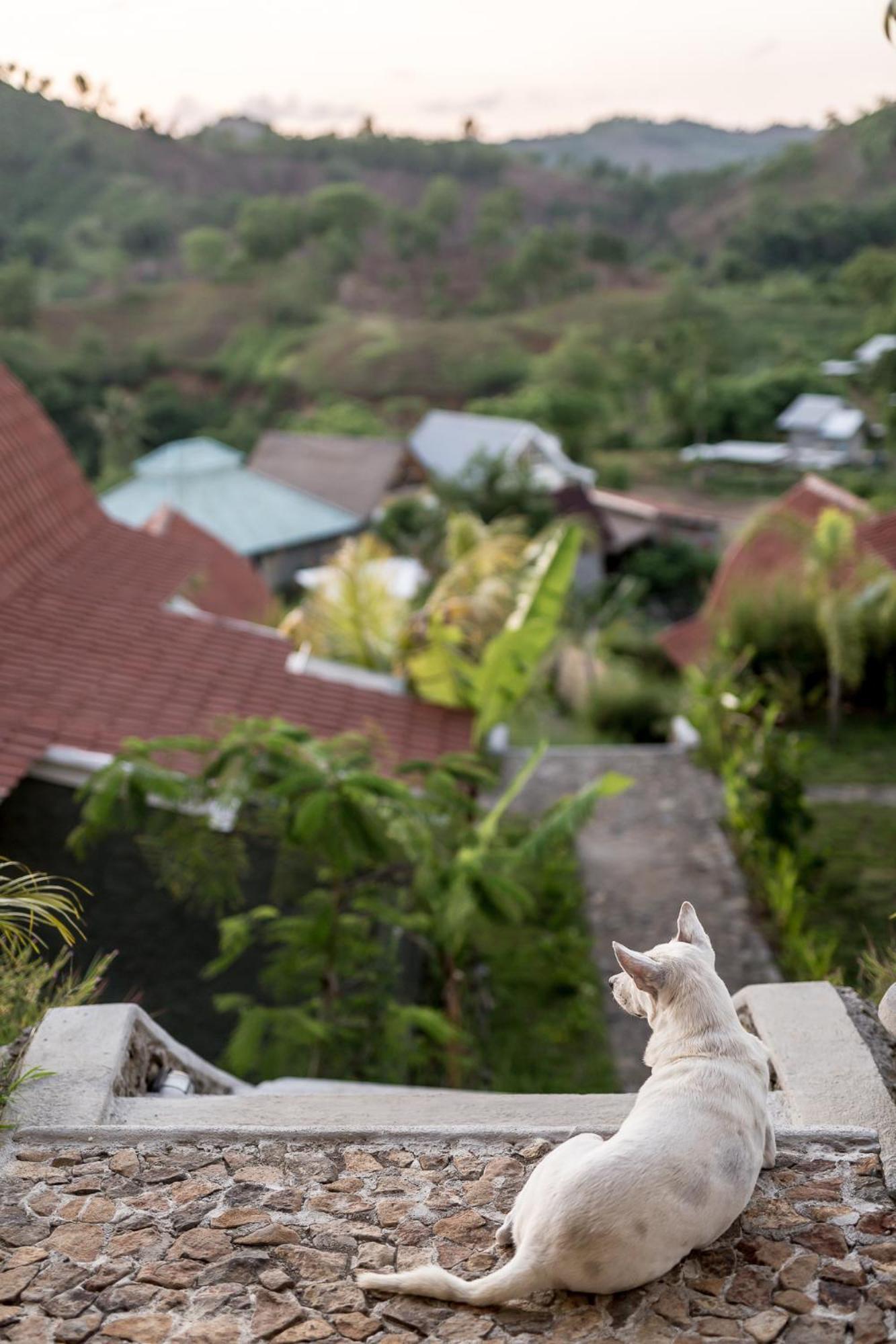Drop In Surf Lodge Kuta  Екстер'єр фото
